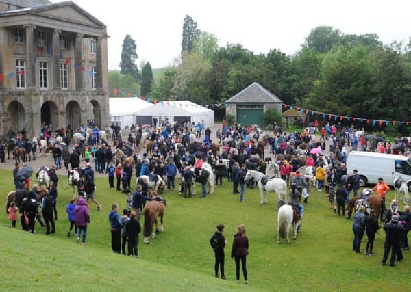 Horses and riders take a break at the Haining.