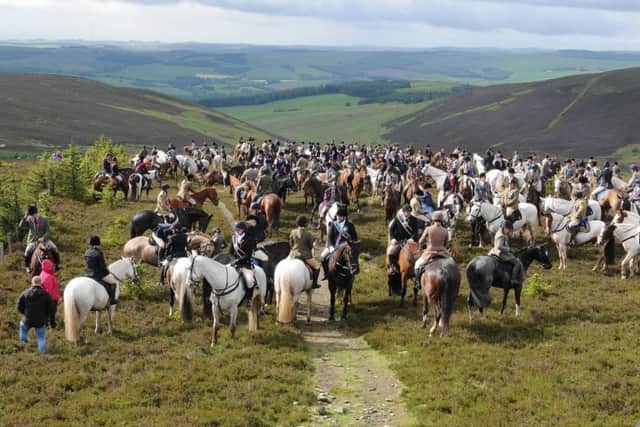 Horses at the Three Brethren