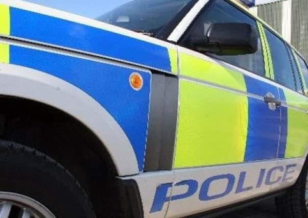 Police have launched an investigation into a hit and run on the A7 yesterday.