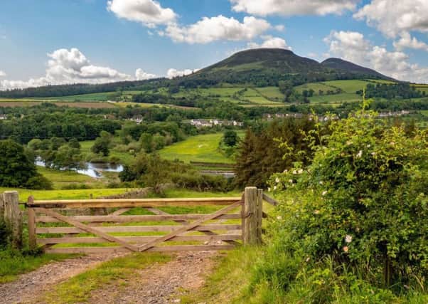Overlooking the River Tweed towards Newstead and the iconic Eildon Hills on a summer's day.