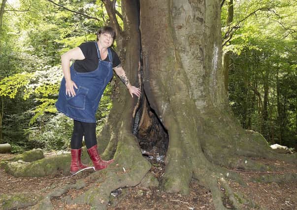 Conservationist Bonnie Fairbrass at the 150-year-old beech tree targeted by arsonists in Galashiels.