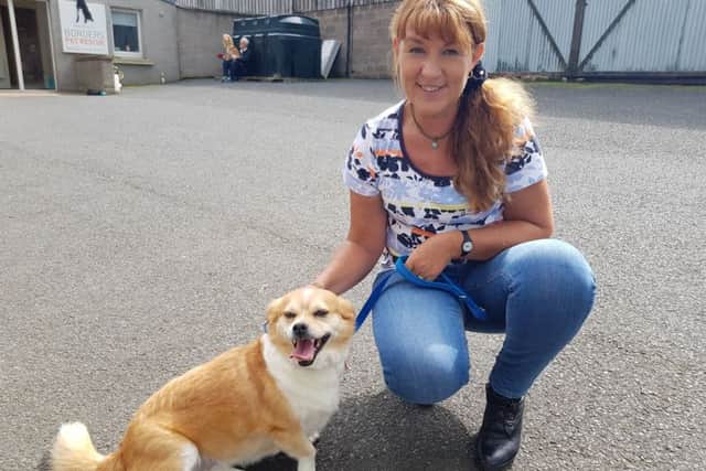 Ruth Codd from Selkirk with Charlotte the corgi cross from Bosnia, who was given first prize in the rescue dogs category.