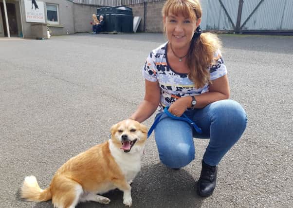 Ruth Codd from Selkirk with Charlotte the corgi cross from Bosnia, who was given first prize in the rescue dogs category.