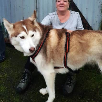 Jill Oliver from Greenlaw with Siberian husky Bella, who came to them from Border Pet Rescue two weeks ago.