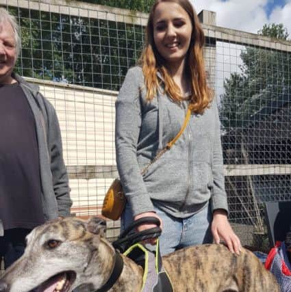 Bethany and Richard Clark from Galashiels, with Tiger, who they collected from the Eyemouth Greyhound Rescue Centre in Eyemouth.