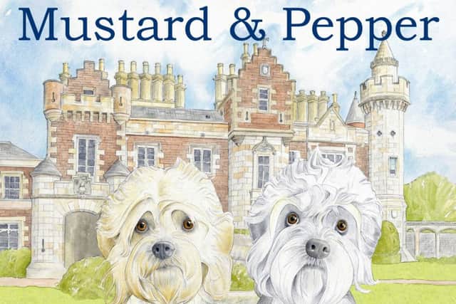 Rare Scottish breed featured in arguably Sir Walter Scott's most famous novel, Guy Mannering, are the stars of Alasdair Hutton's latest children's book.