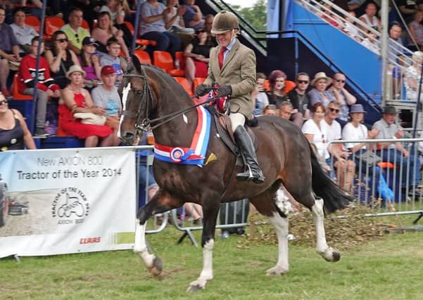 The show championship went to Clive Storey from Yetholm on Masquerade.