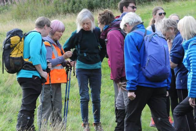Sarah Eno gives a chat on Selkirk Hill.