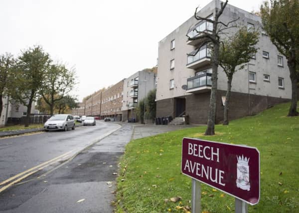 Beech Avenue in Galashiels.
